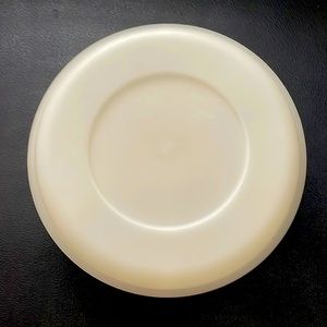 Vintage Tupperware Party Tray